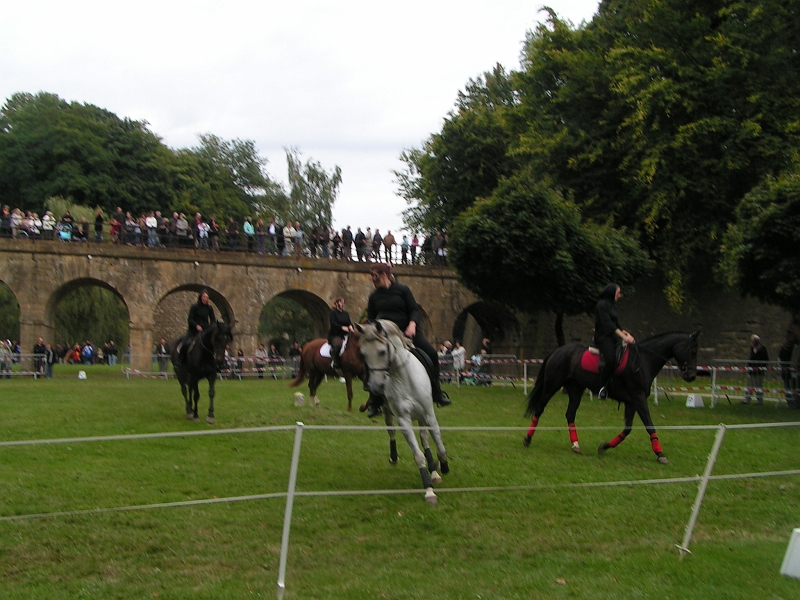 REMPARTS LONGWY 2008 211.jpg